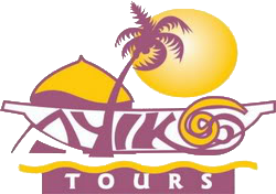 ayikoo tours logo