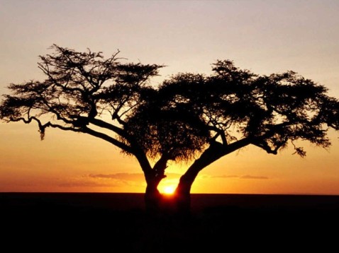 Zonsondergang natuurpark Ghana